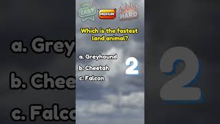 How Much Do You Know About Speed? Quick Quiz #quickquiz #shortquiz