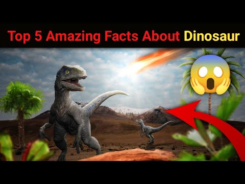 Top 5 amazing facts about dinosaur 🤯 | #shorts #viral #shots #dinosaur #godzilla