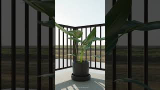🌿 Behind the Scenes: Creating the Perfect House Plant 3D Model 🌿