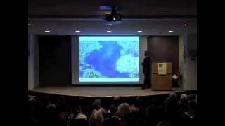 The Biology and Evolution of Mollusks