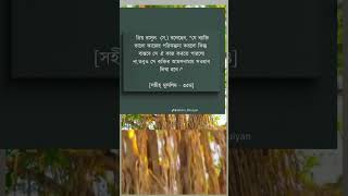 যে ব্যক্তি ভালো কাজের !! #unfrezzmyaccount #srmotivationbangla #sad #storyofss #sklifestory #love