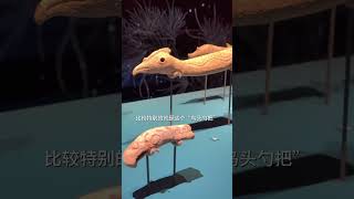 神秘的古蜀文明三星堆，万一本来就是一座博物馆呢 三星堆 三星堆博物馆 值得一去的博物馆 国家文物 旅行大玩家