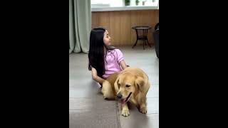 #cute #doglife  #like #goldenretreivers #puppy #cuteanimal #dogstagram #love