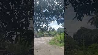 #viewbukid #bukidlife #shortvideo #youtubeshorts