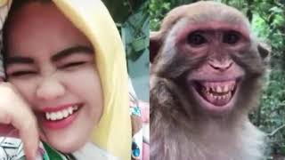 Troll Prank Dog Funny & fake Lion and Fake Tiger Prank To dog ,Huge Box Prank.Troll Video,Ep58_Troll
