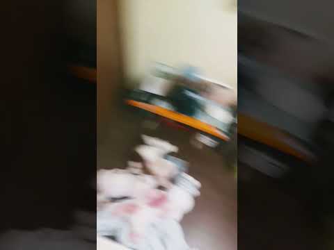 チャンネル登録グッドボタンお願いします🙇