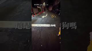 【牽繩很重要】狗狗沒牽繩險被車撞 他怒：顧著滑手機？｜狗狗｜馬路｜危險