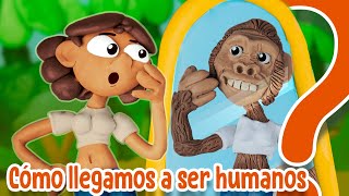 ¿Cómo evolucionó el Homo sapiens?