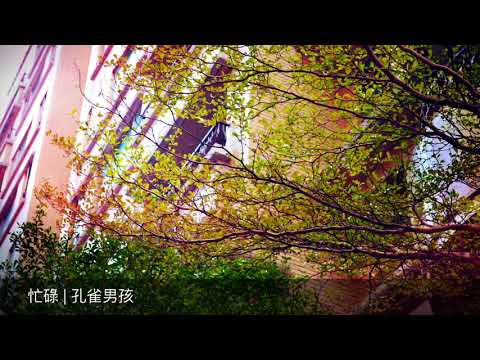 忙碌