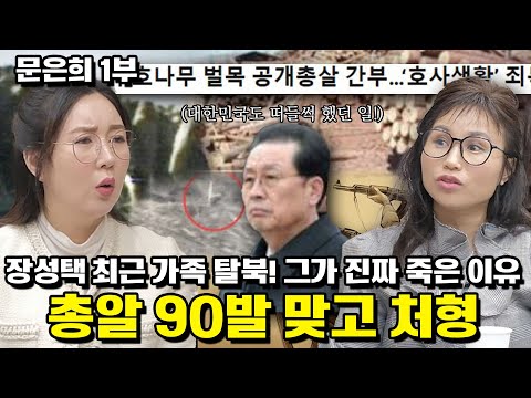 [문은희 1부] 장성택 최측근 가족 탈북 그가 진짜 죽은 이유총알 90발 맞고 처형