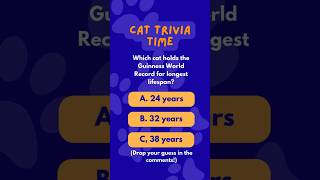 Cat Trivia! Who Holds the Guinness World Record?