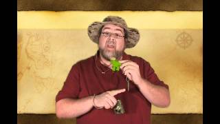 GeoSnippits Geocaching Videos - Make Your Own Geocaching Travel Bug