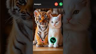 #smartphone #ringtone #tech #call #ringtones #iphone #mobiletech #innovation #unveiling #iphone15