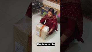 Dream parcel unboxing ✨️ Maplepets 🍁  #shorts #unboxing #calm