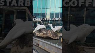 Coffee at the cafe? Starbucks Country Garden Danga Bay Johor Bahru Malaysia #starbucks #dolphins