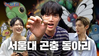 The easiest way to enter SNU [SNU Insect Club] | Jeongwaja