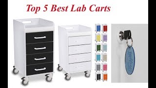 Top 5 Best Lab Carts