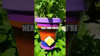 5 Unconventional Life Hacks You Need to Try!