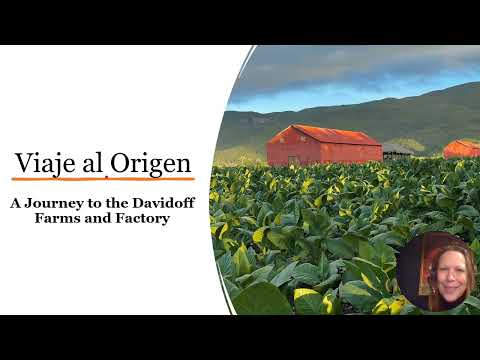 Davidoff and Georgetown Tobacco:  Viaje Al Origen-  Zino's Philosophy