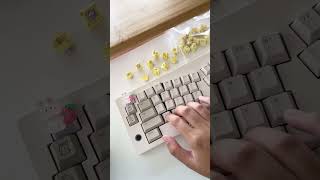 Best switches on the market😯