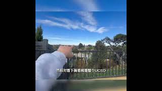 大学城的房地产为何这么贵？
