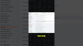This SEO Audit Will Find Every Hidden Website Error under 60 seconds!