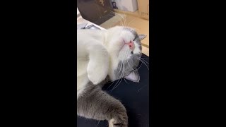 视频进度进展缓慢 【折腾5号】