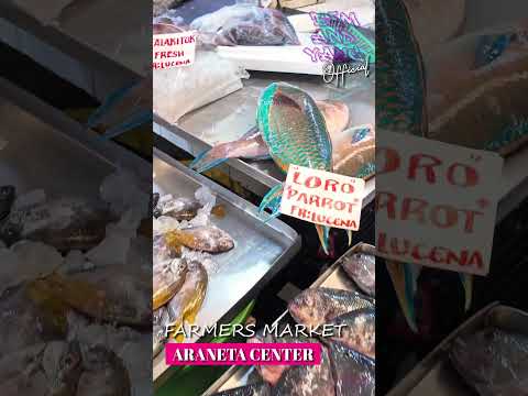 Fresh Seafood Farmers Market 🇵🇭 | 4K Food and Walk Tour | Bem and Yang Official | #shorts