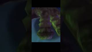 Bongo Bongo Intro Shadow Temple - The Legend of Zelda Ocarina of Time 100% Walkthrough #shorts #oot