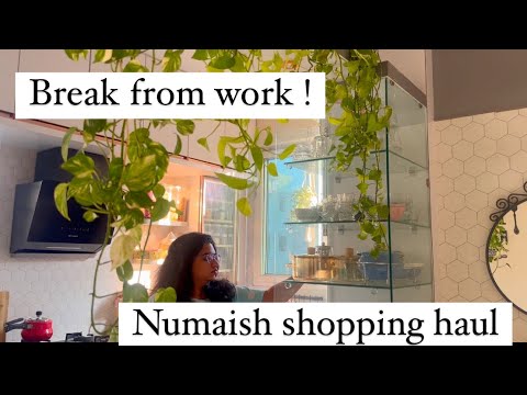 కొన్నిసార్లు job మానెయ్యాలి అనిపిస్తుంది,numaish shopping haul,1pm to 8:pm routine of a working mom