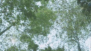 [PV] 帰ろうか ふらっと♭ #帰ろうか #ふらっと