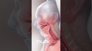 Sleep apnea animation | #OSA #ObstructiveSleepApnea #SleepAnimation #SleepApnea