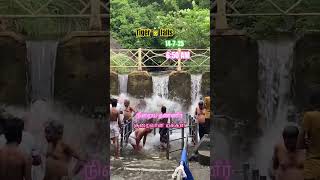 Tiger 🐯 falls live update #courtallam #tigerfalls #live #update #nature #travel #trending #shorts