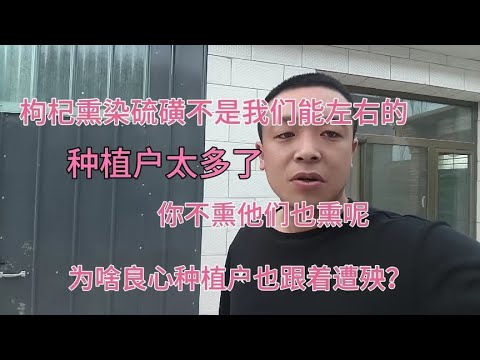 央视一句报道！我家枸杞滞销，卖不出去了，还被网友骂？太难了