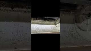 王小姐發現上網查才知道，冷氣裡的灰塵、黴菌影響健康！她立刻請 潔淨能 專業清洗，冷氣變涼了，空氣清新，家人也舒服多了。你的冷氣呢？ 別等問題變嚴重，現在就預約潔淨能官方line:@708wagvw