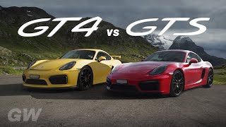 Comparing the 981s: GT4 vs GTS