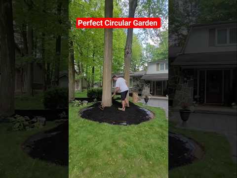 How to make a perfect circular garden #diyproject #garden #gardening #lawncare #yard #landscape #diy
