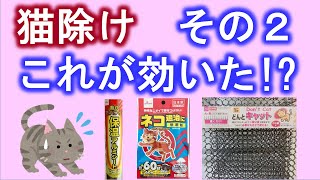 猫よけ効果絶大！？猫対策はダイソーグッズがおススメ！トゲトゲシートや忌避剤など100円グッズで野良猫の糞被害を防止