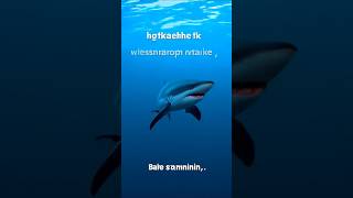 Sharak Attack 😱😱 #sharkclips #sharkvedio #aishark #aiattack #aishorts