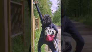 When a goofy person goes hiking. Forêt de Notre-Dame. #shorts