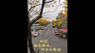 做我的新娘   百聽不厭的 越南歌曲 中文歌詞（純欣賞）