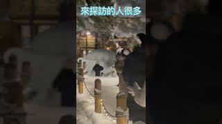#日本旅行 #日本 #北海道 到日本旅遊勝地森林精靈露台，尋找傳說中的精靈，很幸運看到了！ #日本 #北海道 #日本旅行