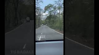 📍Palghar #bollywood #song #coversong #music #royalenfield #longdrive #ranvirkapoor #nature #palghar