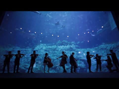 The Young Person’s Guide to HKFO《勁歌交響曲》