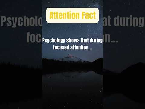 The Power of Focus: Understanding the Psychology of Attention