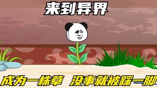 【外挂傍身的杂草（小草修仙记）】来到异界，成为大佬门前的一株杂草，没事就被踩上一脚是什么体验#夜一漫谈
