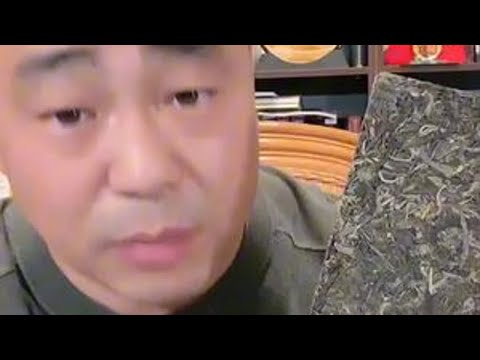 普洱生茶 知茶懂茶以茶会友