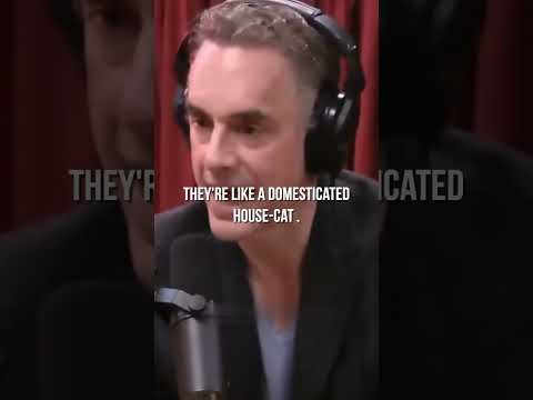INTEGRATE YOUR SHADOW | Jordan Peterson | #shorts #goals #jordanpeterson #mindset #fyp #discipline