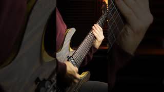 Split Coil Riff #3 #metal #riffhard #guitar #guitarguitar #guitarriff #metalcore #riff #guitarist