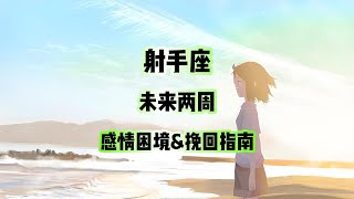 射手座，未来两周，感情困境&挽回指南#星座运势 #塔罗测试 #占星 #答疑解惑